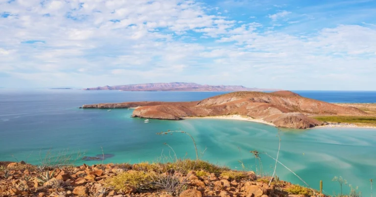 Baja California Sur Mexico